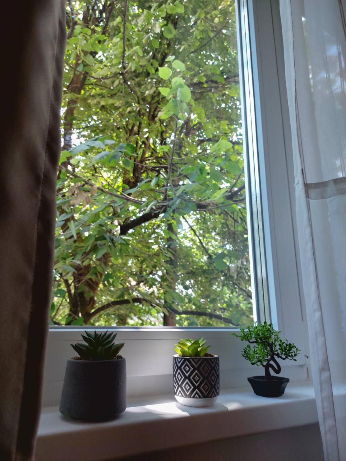 Apartman Rejna SJJ Esterno foto